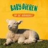 Babydieren op de boerderij | 9789464012217