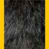 Beesten | 9789045131146 Beesten | 9789045131146
