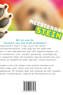 Meesterbrein Stein | 9789493407565