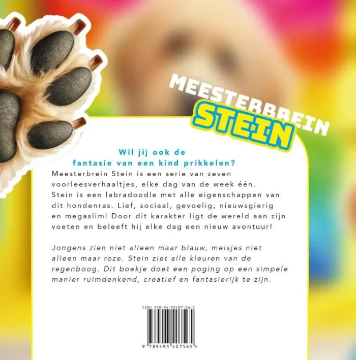 Meesterbrein Stein - Afbeelding 2