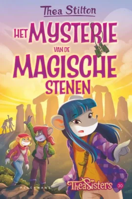 Het mysterie van de magische stenen