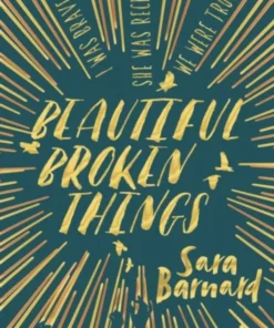 Beautiful Broken Things