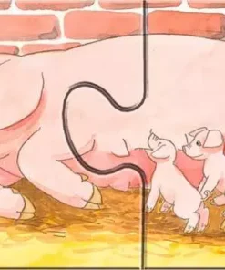 Mijn eerste puzzels Op de boerderij | 4005556073337