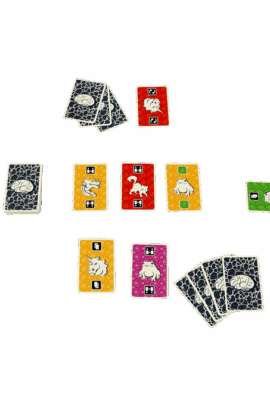 The Brain | 8720289475161 The Brain | 8720289475161