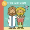 Veilig in de storm | 9789087820916