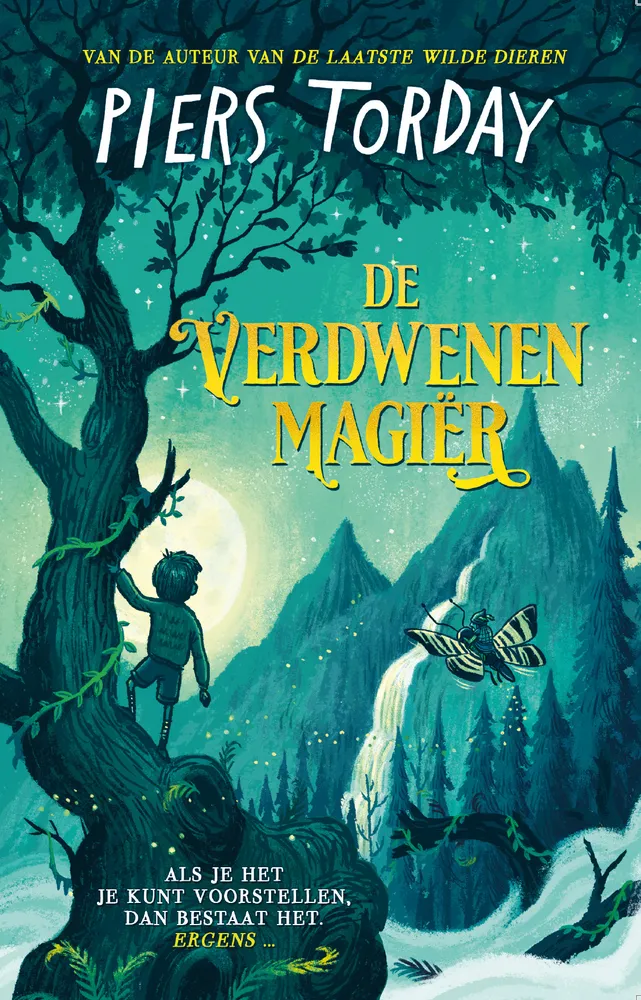 De verdwenen magiër | 9789021044514 De verdwenen magiër