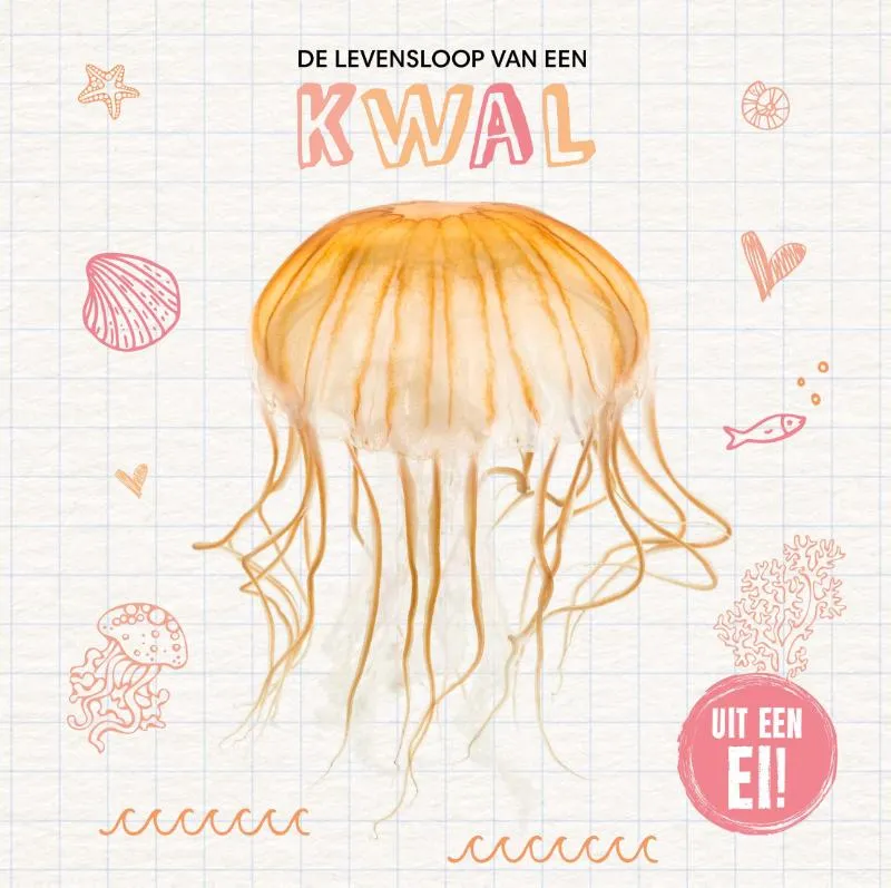 De levensloop van een kwal | 9789464396201 De levensloop van een kwal