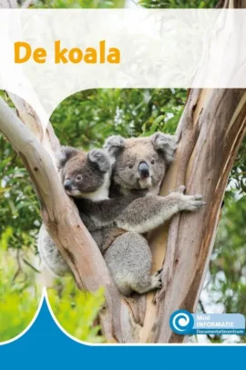 De koala
