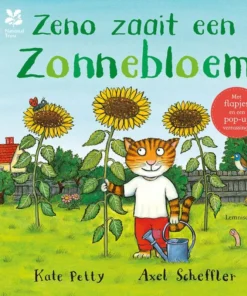 Zeno zaait een zonnebloem
