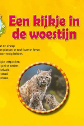 Alternative view of Een kijkje in de woestijn