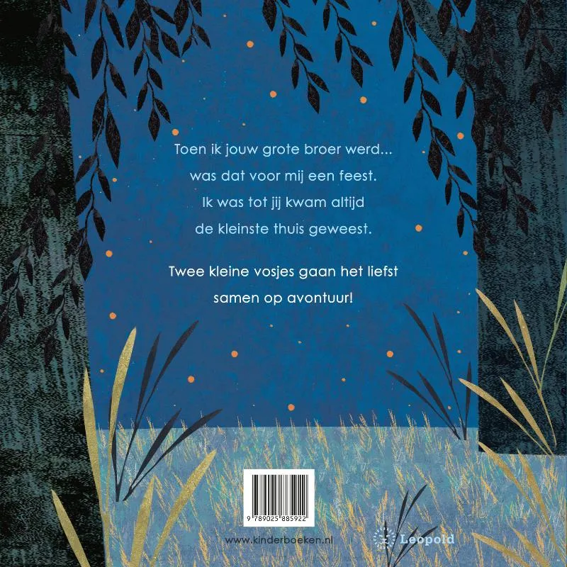 Toen ik jouw grote broer werd | 9789025885922 Toen ik jouw grote broer werd - Afbeelding 2