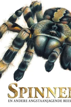 Spinnen