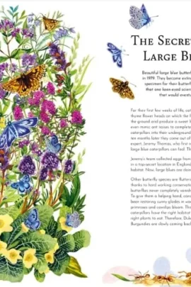 Alternative view of Return of the Wild