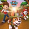 PAW Patrol, Dit is Tracker | 9789047872054