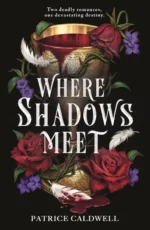 Where Shadows Meet | 9781471411526 Where Shadows Meet | 9781471411526