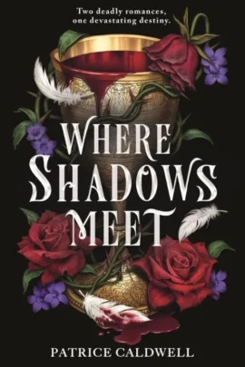 Where Shadows Meet