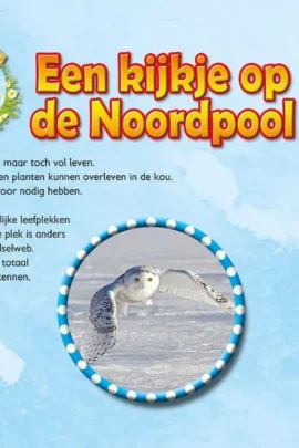 Alternative view of Een kijkje op de Noordpool