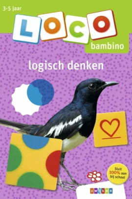 Loco bambino logisch denken