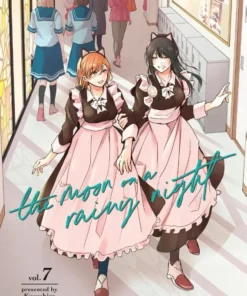 The Moon on a Rainy Night 7