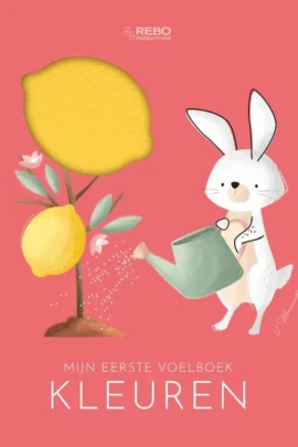 Mijn eerste voelboek