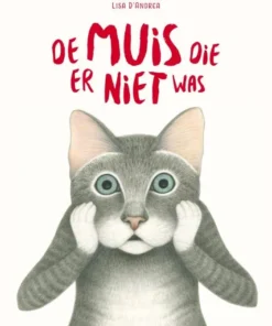 De muis die er niet was