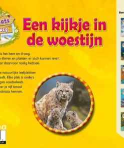 Een kijkje in de woestijn | 9789464393392 Een kijkje in de woestijn - Afbeelding 2