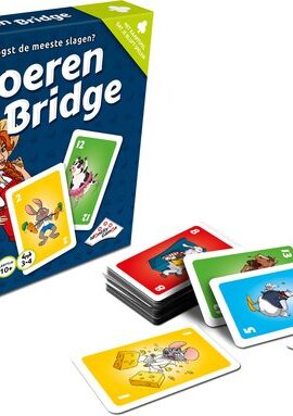 Alternative view of Boerenbridge