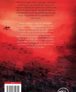 Alternative view of De strijdmagiër