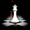 Breaking Dawn | 9781904233916 Breaking Dawn | 9781904233916