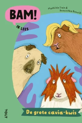 De grote cavia-kwis