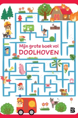 Mijn grote boek vol doolhoven