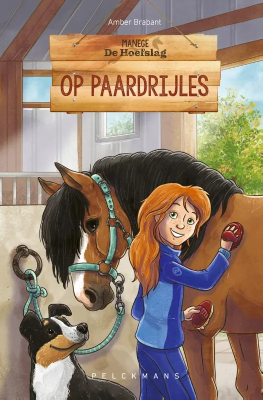 Op paardrijles | 9789463108041 Op paardrijles
