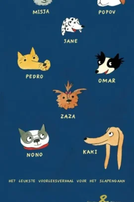 Alternative view of Slaap je?