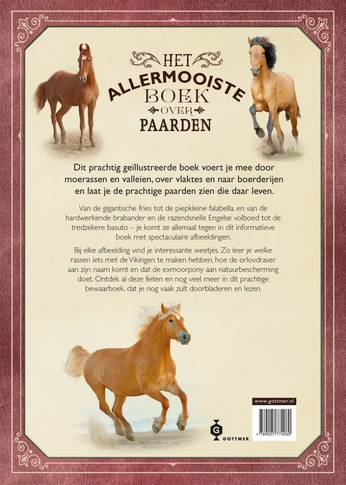 Het allermooiste boek over paarden - Afbeelding 2