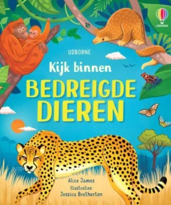 Kijk binnen in je lichaam