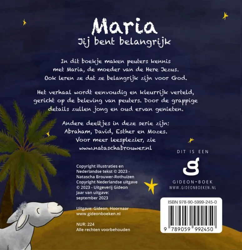 Maria jij bent belangrijk | 9789059992450 Maria jij bent belangrijk - Afbeelding 2