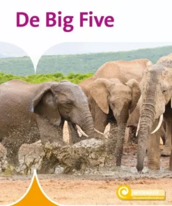 De Big Five