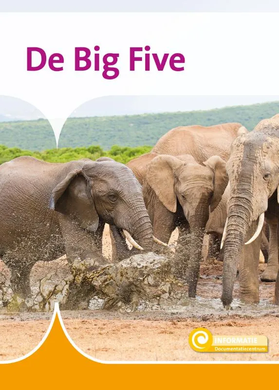 De Big Five | 9789463419925 De Big Five