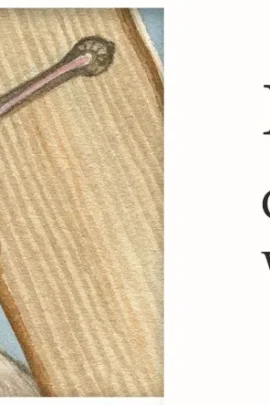 Adventkalender Sounds of de birds | 4050003952505