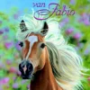 De droom van Fabio | 9789020622270 De droom van Fabio | 9789020622270