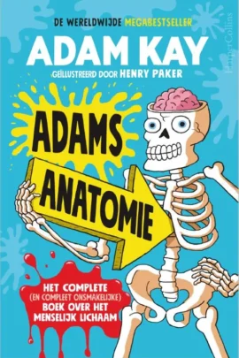 Adams anatomie