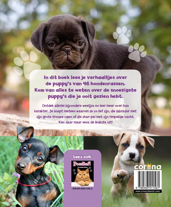 Hondstrouw! | 9789463411561 Hondstrouw! - Afbeelding 2