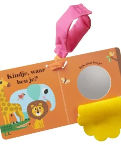 Alternative view of Leeuw, waar ben je? buggyboekje