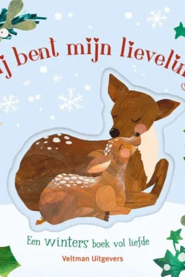 een winters boek vol liefde