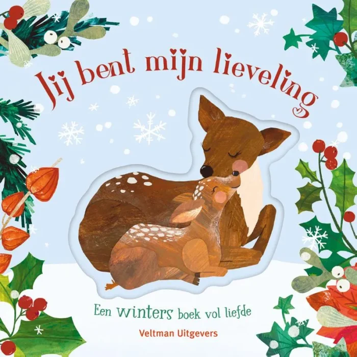 een winters boek vol liefde