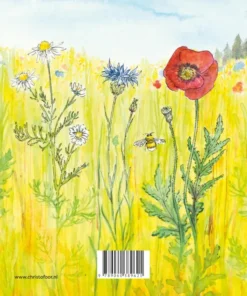 Alternative view of Zomer