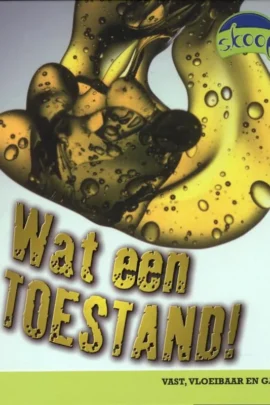 Wat een toestand