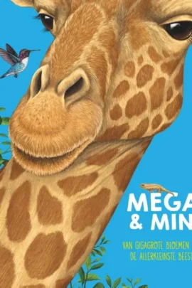 Mega & mini