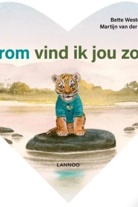 Daarom vind ik jou zo lief