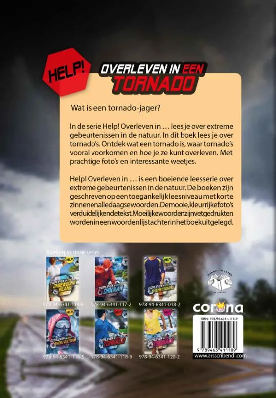 Overleven in een tornado | 9789463411189 Overleven in een tornado - Afbeelding 2